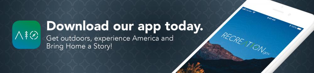 Download our app today.
